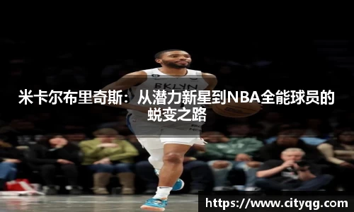 bsports官方网站